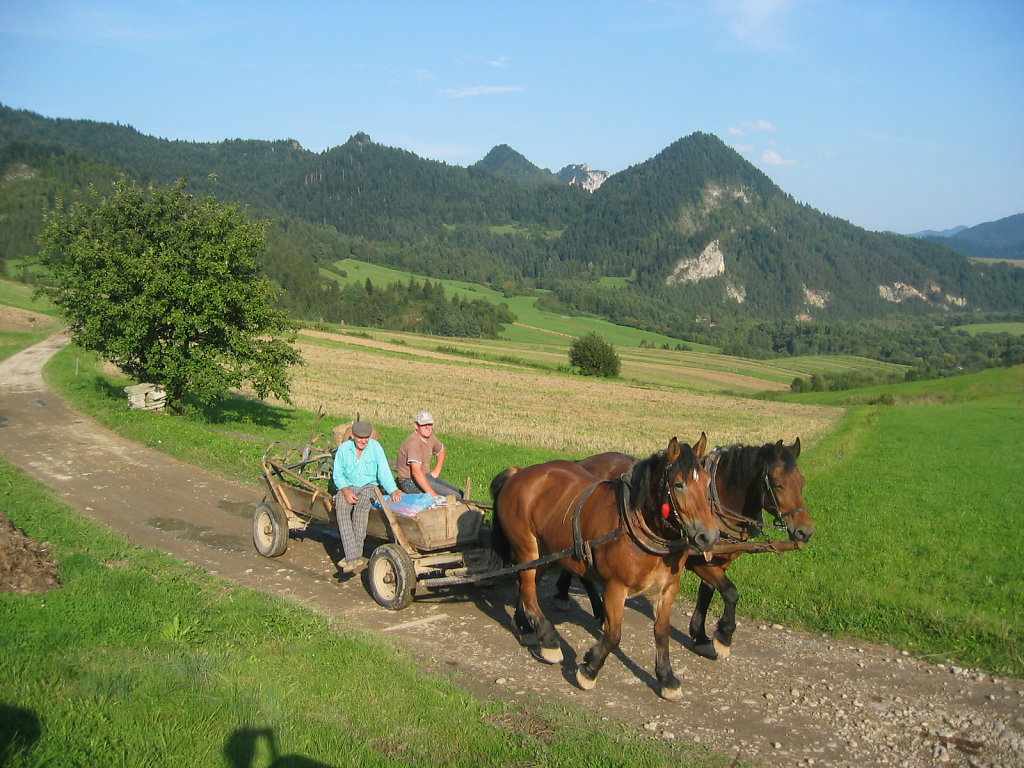 Reisen durch Polen